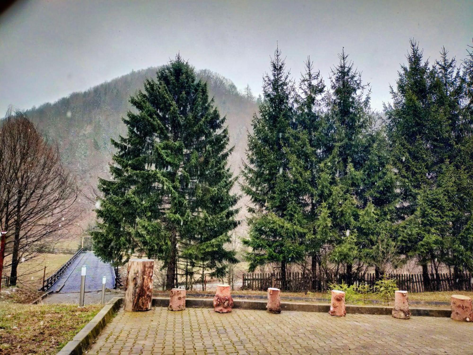 Villa & Spa 4Temporadas - Plaiul Foii Zărneşti Eksteriør bilde